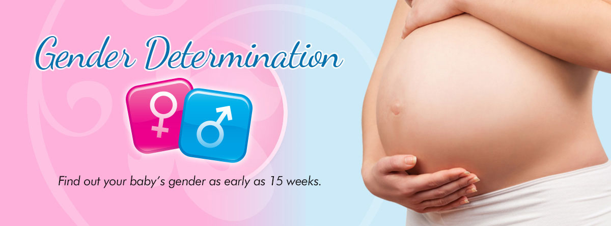 Gender determination starting as early as 15 weeks